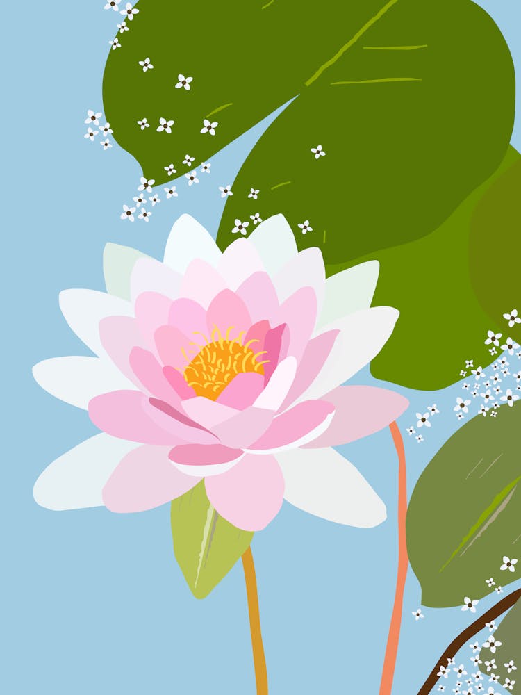 Water Lily | 05 – Blue