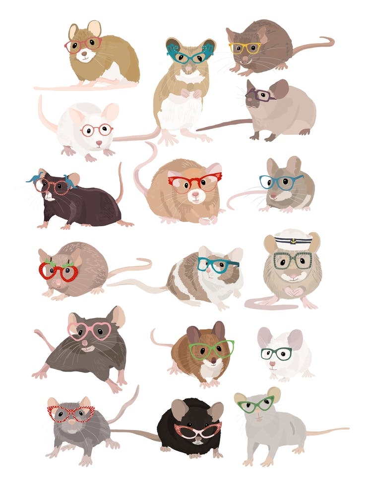 Mice In Glasses