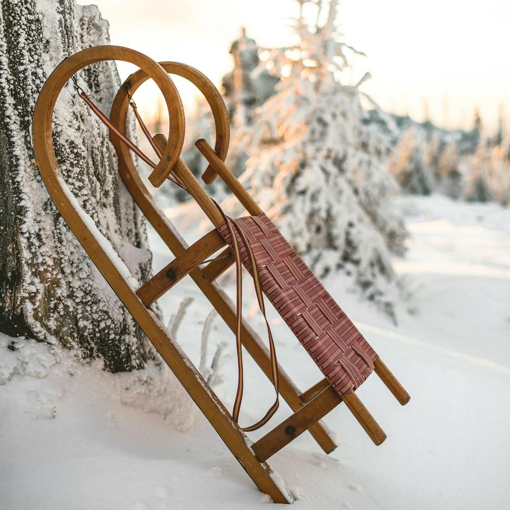Winter Sleigh 1