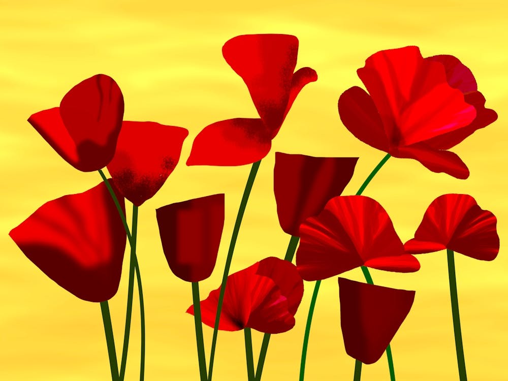 Poppies Against Bright Yellow Sky
