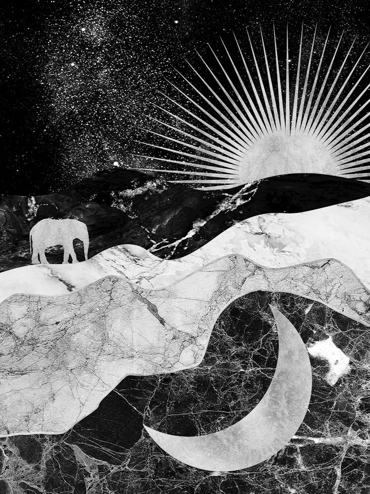 Moon And The Stars