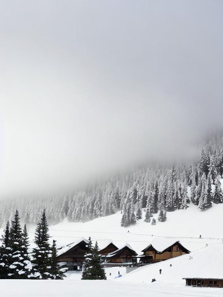 Naeba, Japan Black And White Skiing Poster
