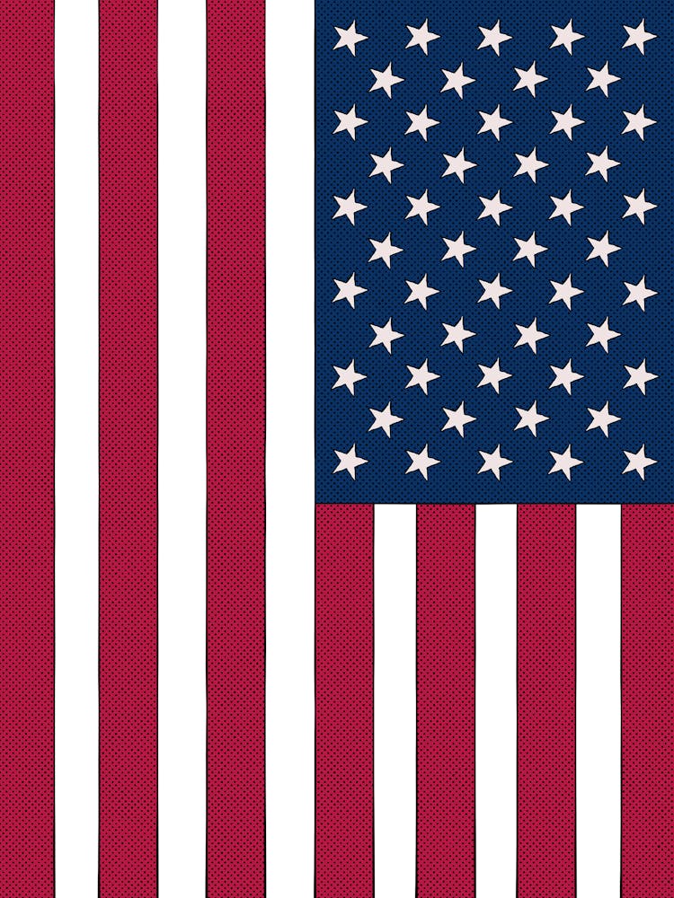 American Flag 1