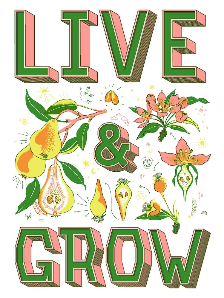 Live Grow