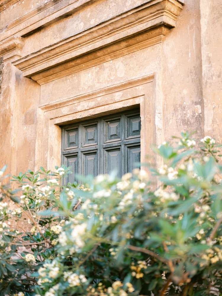 Trastevere Rom Botanische Details