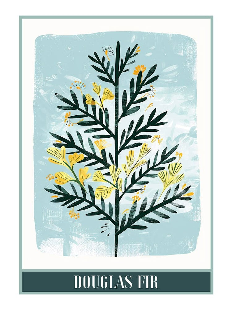 Douglas Fir Tree Illustration Flat 8 Poster