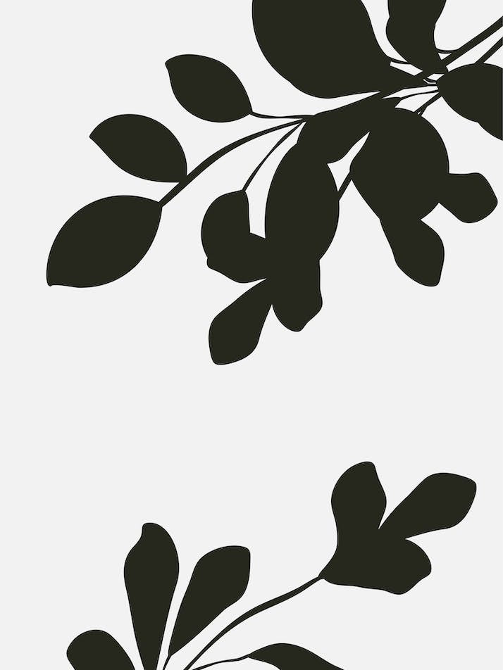 Abstract Botanical Black and Beige Art 12