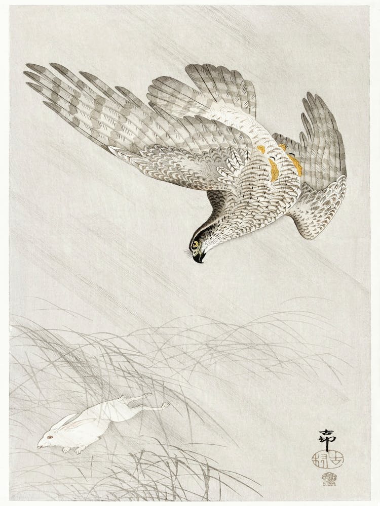 Hawk Hunting A Hare (1900 1910), Ohara Koson