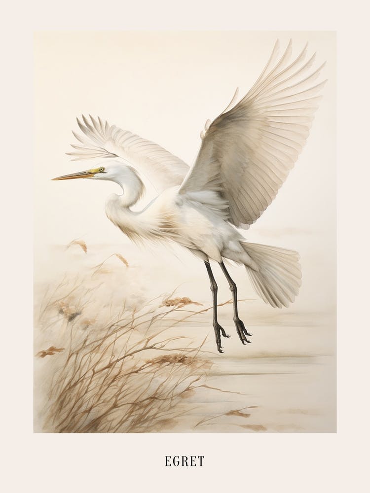 Vintage Bird Drawing Egret 2 Poster