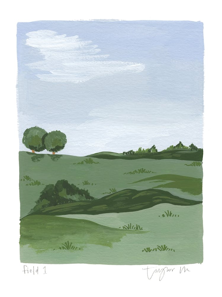 Field 1
