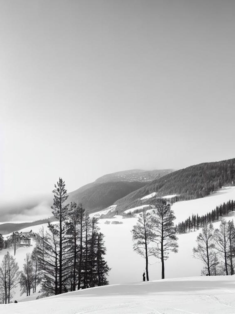 Hemsedal, Norway Black And White Skiing Poster