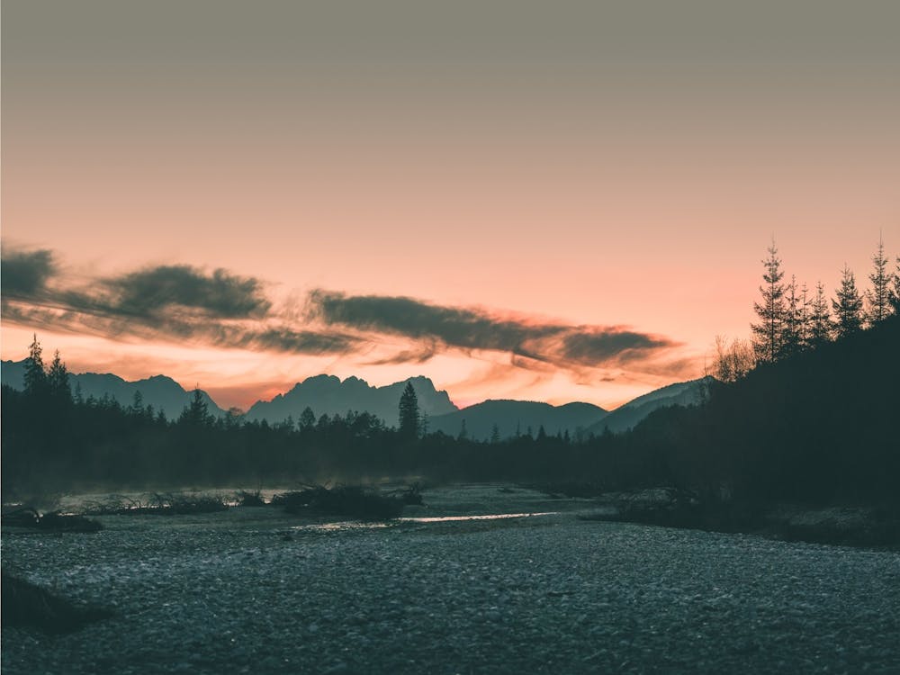 Mania Landscapes Raw 11 Schafreuter (Austria)