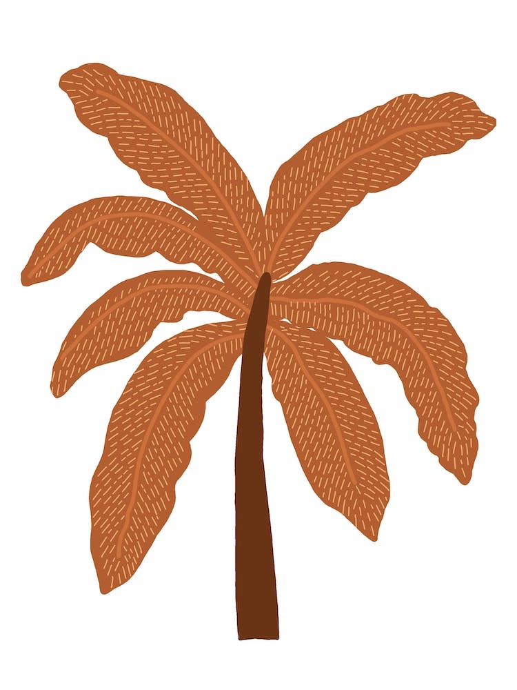 A Lone Palm Terracotta