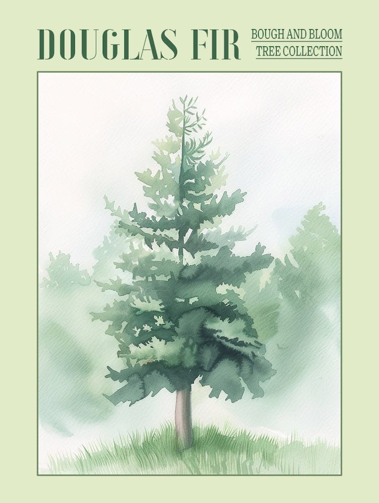 Douglas Fir Tree Atmospheric Watercolour Painting 2 Poster