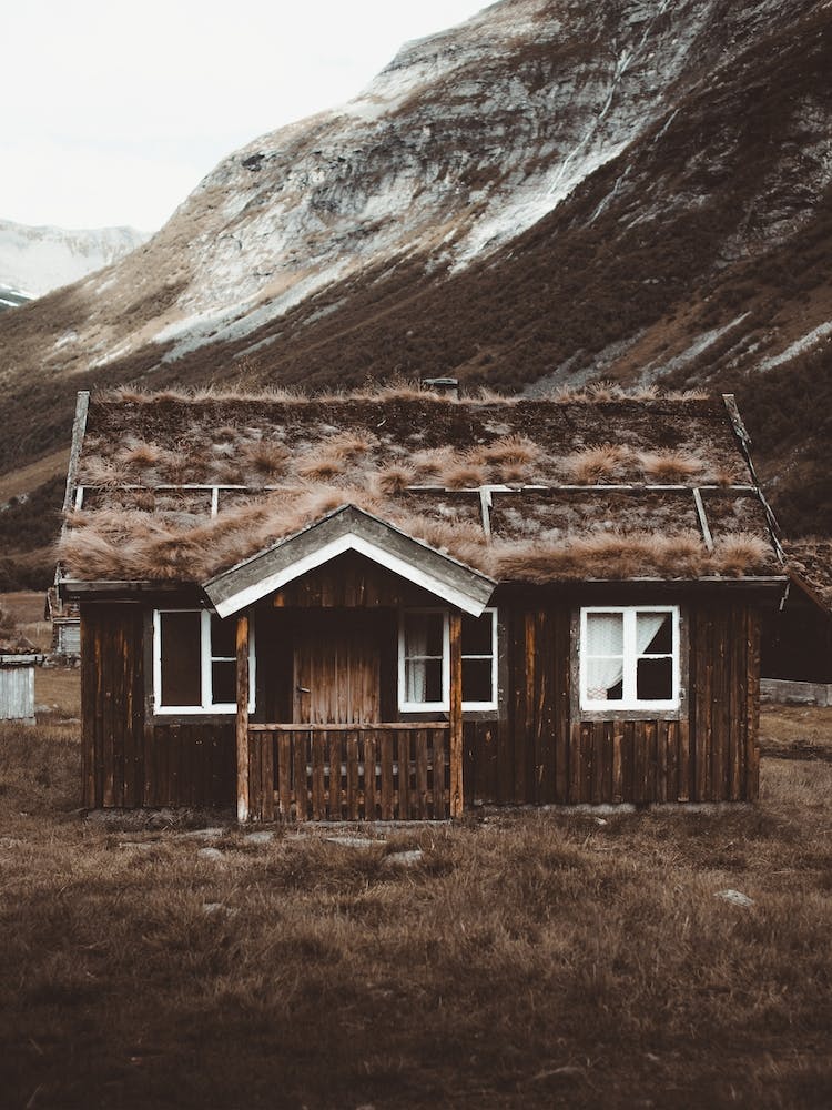 Moss Covered Roof Cabin