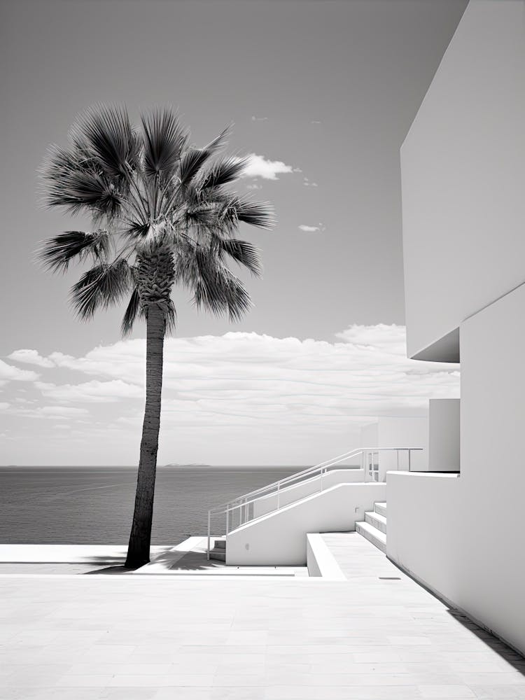 Ibiza, Spain, Photography In Black And White 4