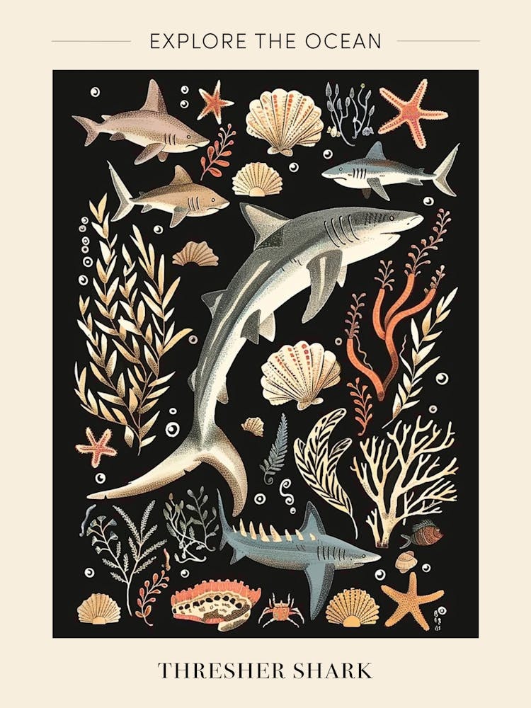 Thresher Shark Seascape Black Background Illustration 1 Poster