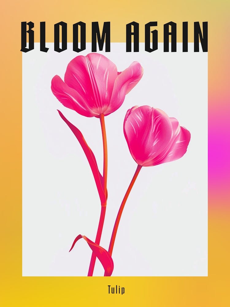 Hot Pink Tulip 4 Poster