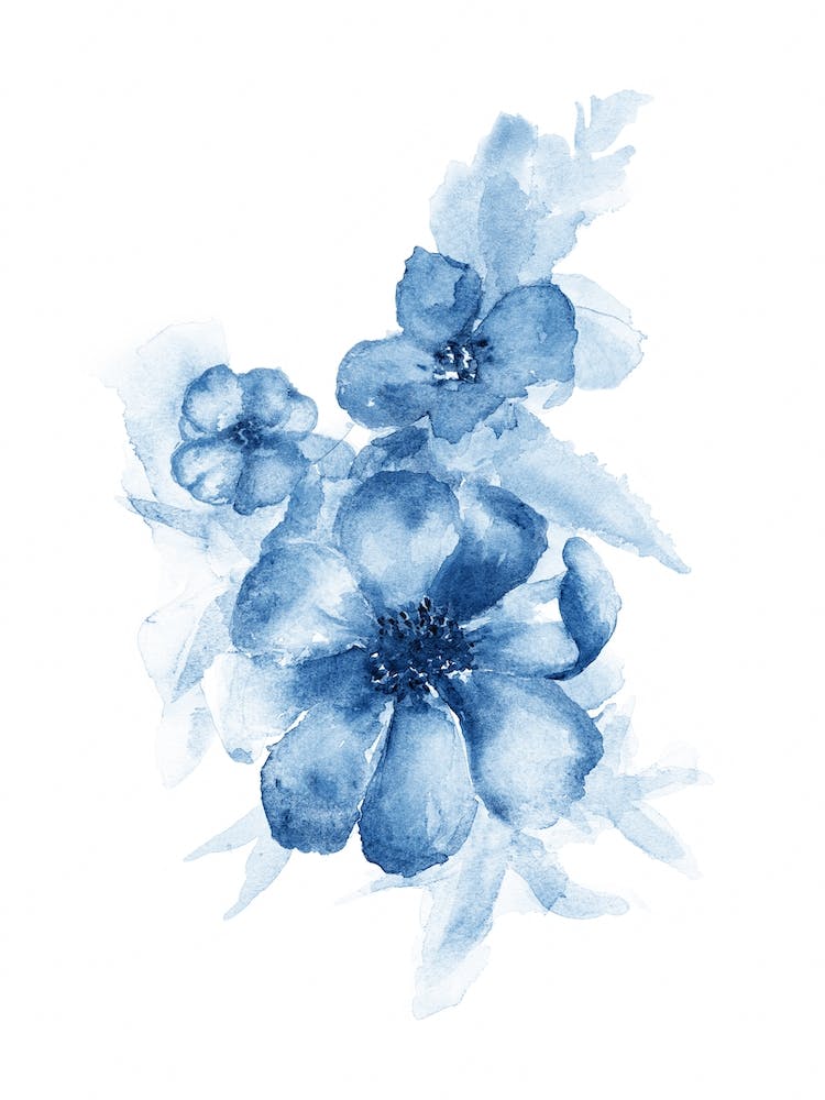 Watercolor Flowers 'Indigo I' , Aga Szafranska