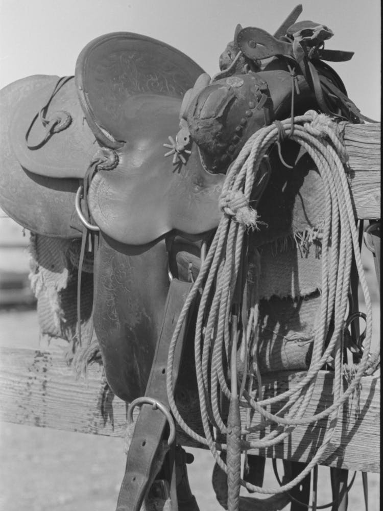 Detail Of Cowboy S Saddle, Roundup Near Marfa, Texas By Russell Lee
