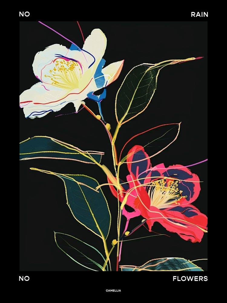 No Rain No Flowers Poster Camellia 2