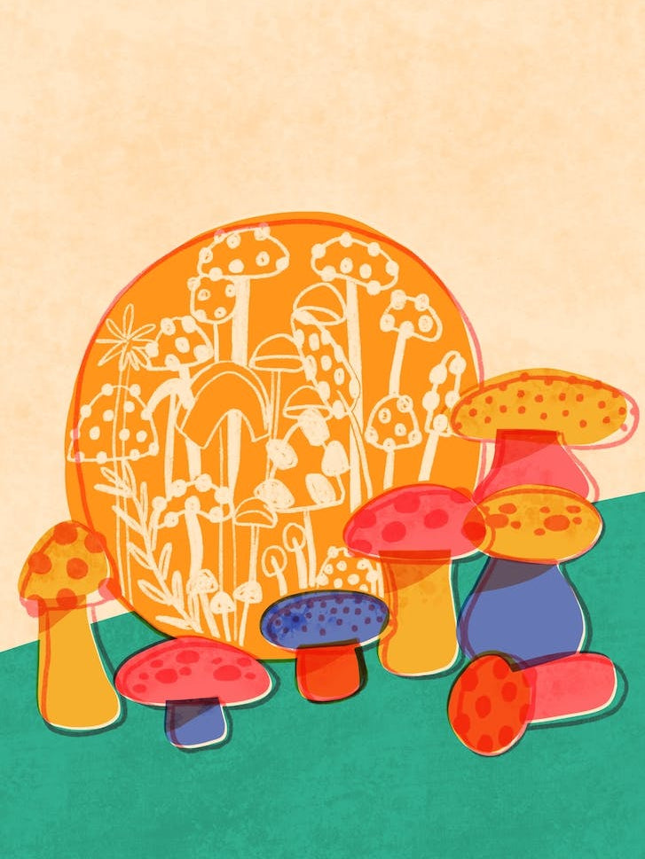 Mushroom Garden