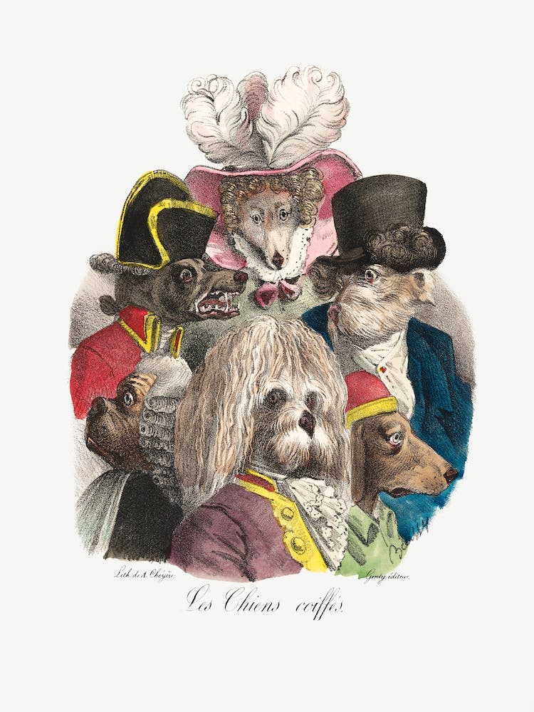 Les Chiens Coiffés Vintage Hunde