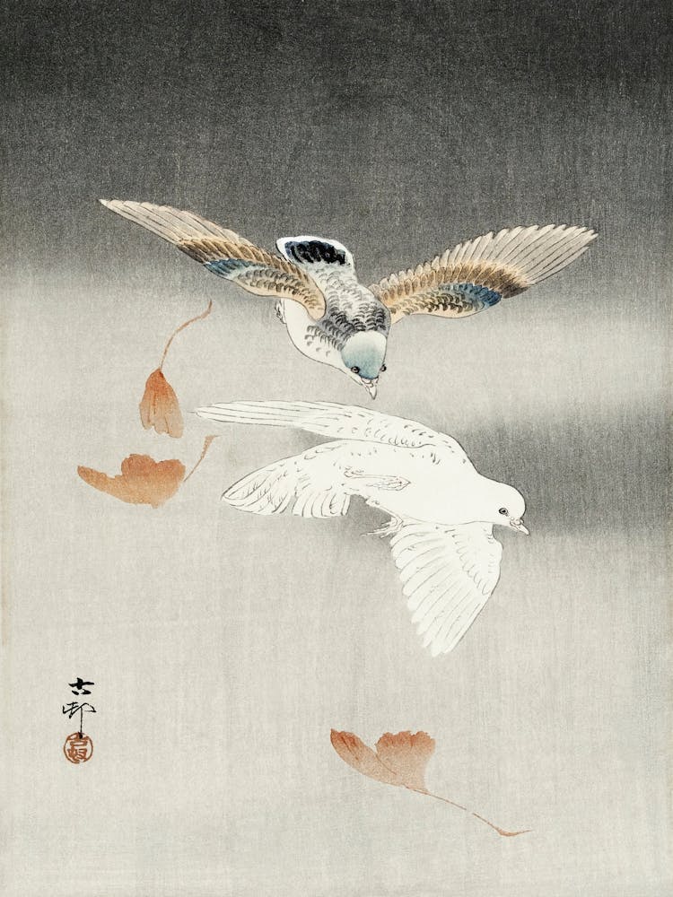Zwei Tauben mit fallenden Ginkgoblättern (1900 1930), Ohara Koson