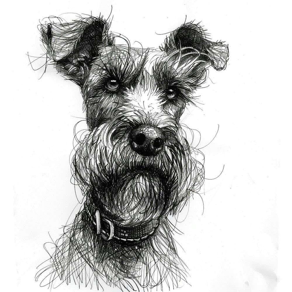 Cesky Terrier Dog Line Sketch 3