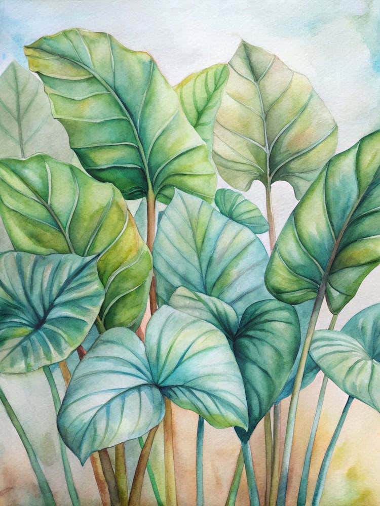 elephant ear plant painting 6 Plants With Enormous Leaves Like Elephant Ears (1) Art Print by Posterly Studio home decor – Fy!