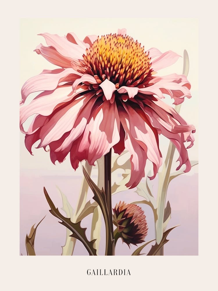 Floral Illustration Gaillardia 1 Poster