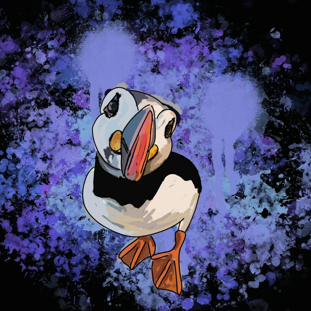 Puffin