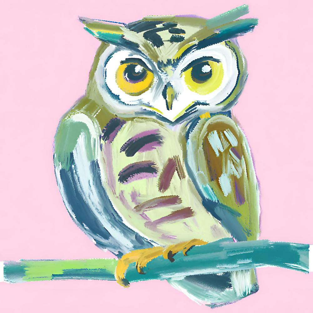 Owl 05