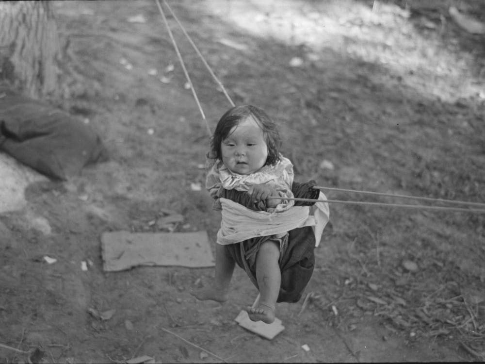 Indian Papoose In Swing Near Little Fork, Minnesota By Russell Lee