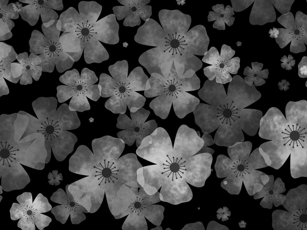 Black And White Flowers 69