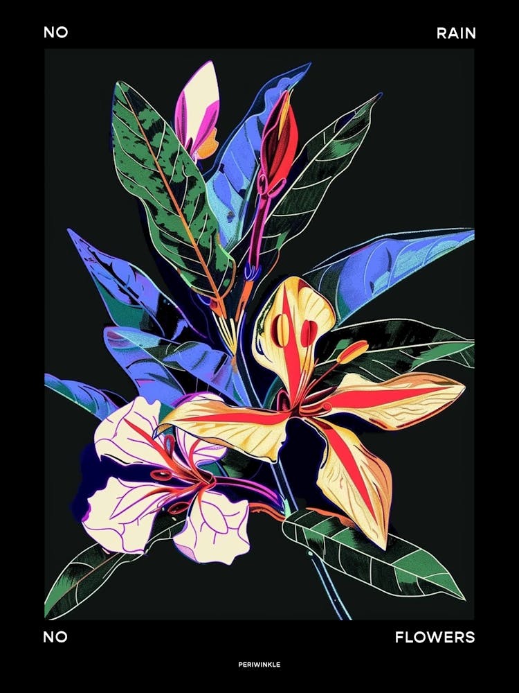 No Rain No Flowers Poster Periwinkle 4