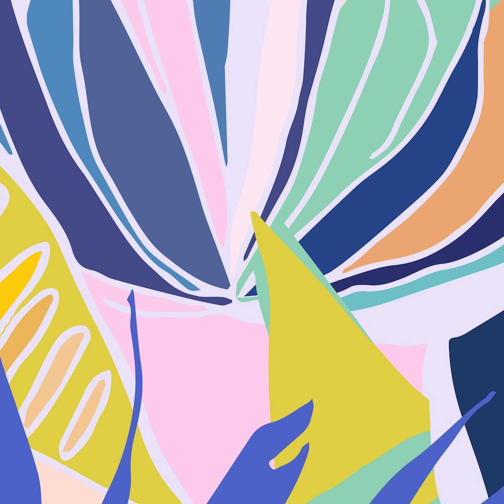 Succulent Garden In Pink Square