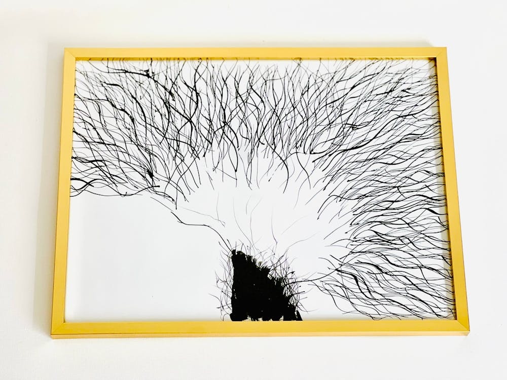 Abstract Black And White Flower painting £75