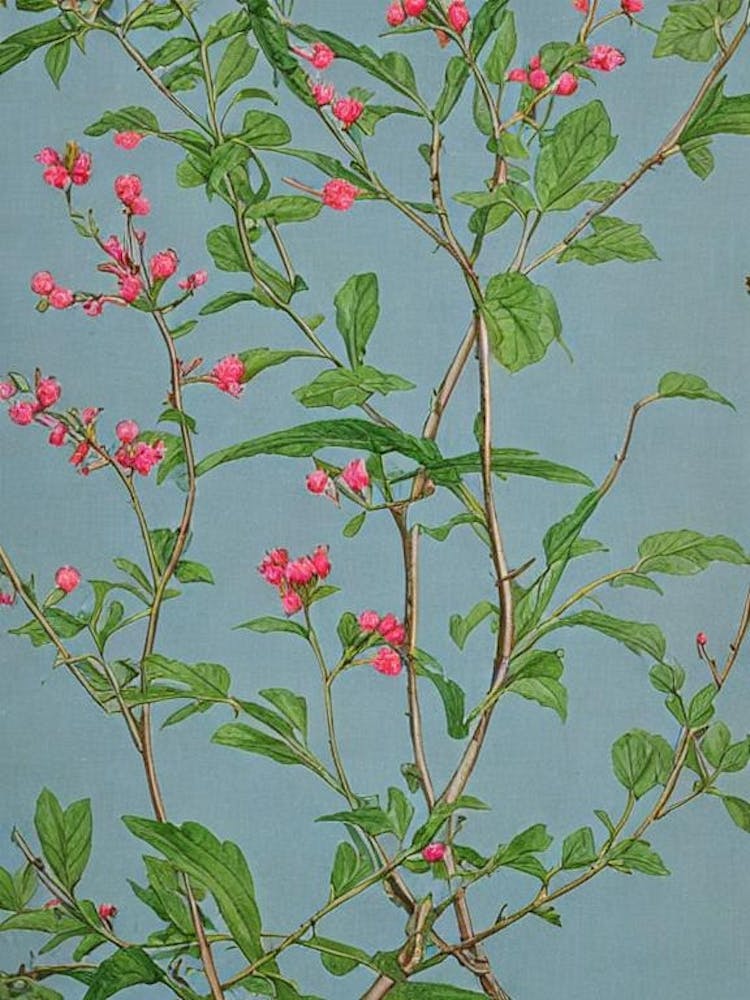 Red Bud 2 tree Vintage Botanical