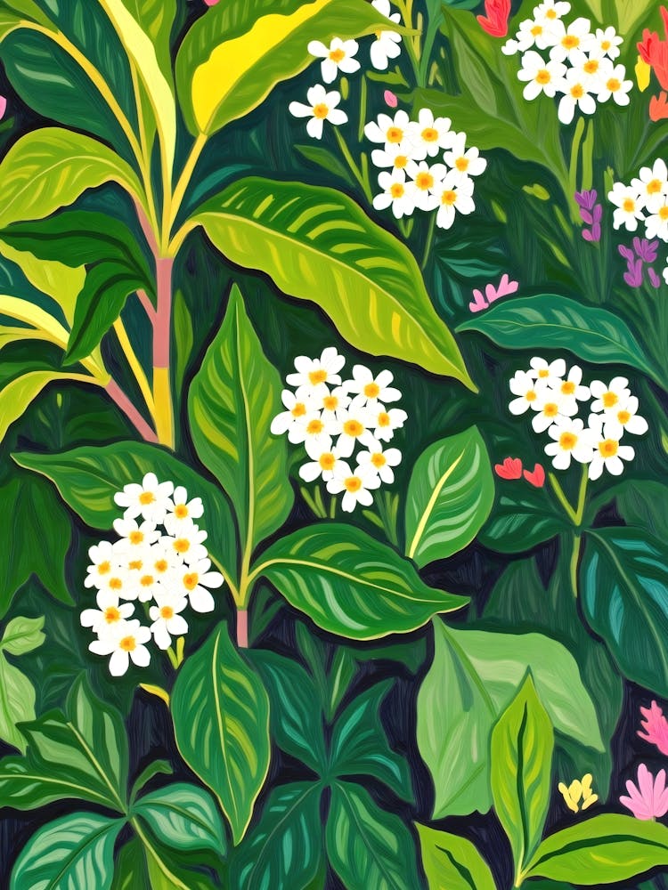 Beneath The Jungle Canopy