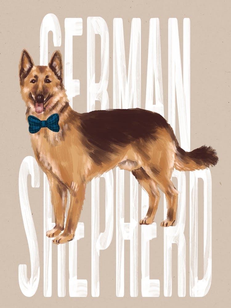 German Shepherd Dog