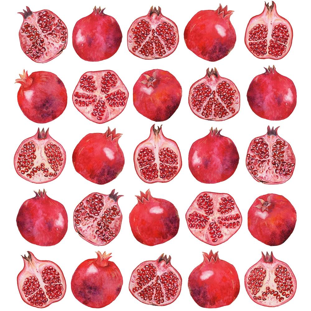 Repeat Pattern Pomegranate Square