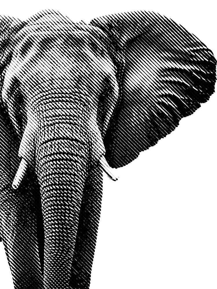 Elephant Line Art 2