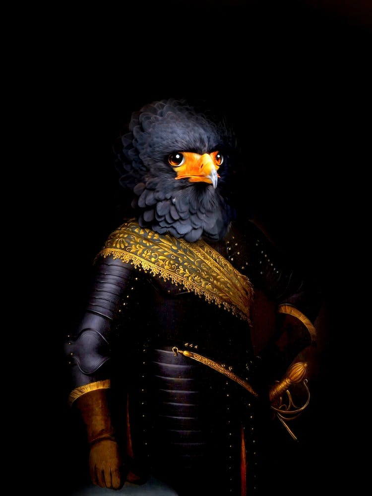 Knight Connor The Bird Pet Portraits