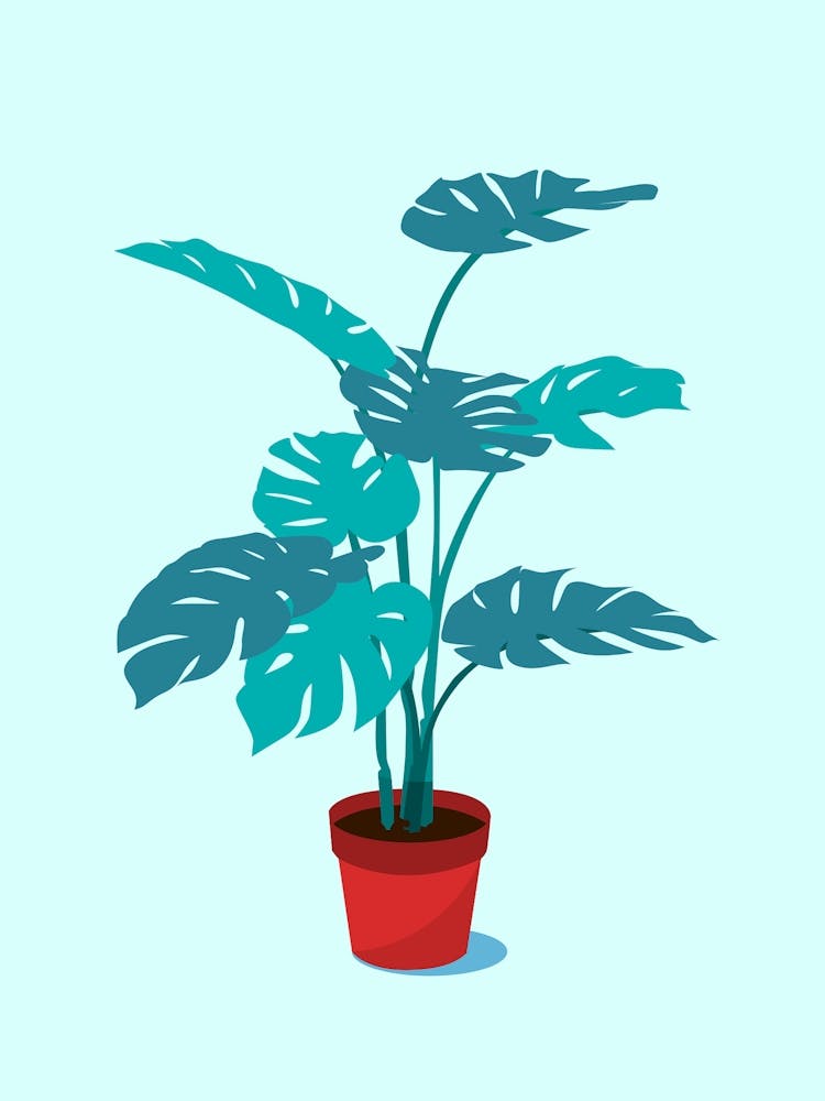 monstera plant cartoon Plant Foliage Monstera Leaves Nature Houseplant Cartoon Art Print by Etnousta – Fy!
