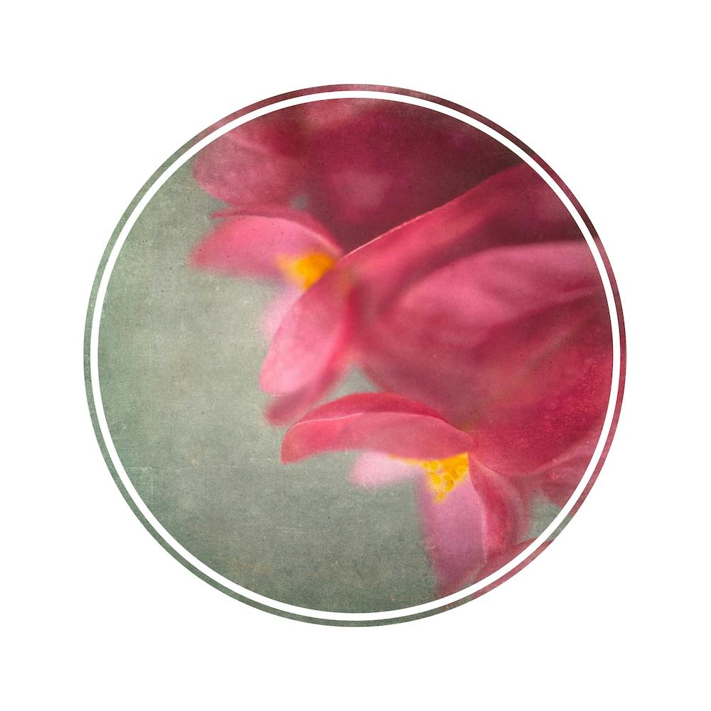 Foraged Texture Rounds 1