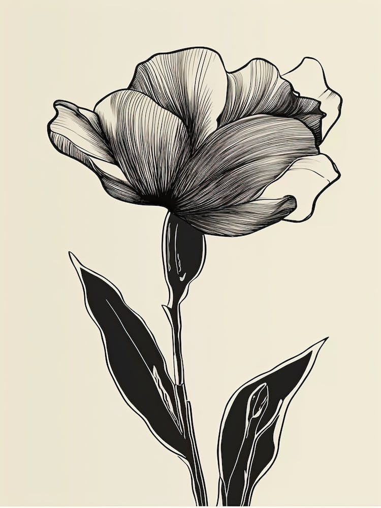 Gladioli Line Art Flowers Illustration Neutral 8