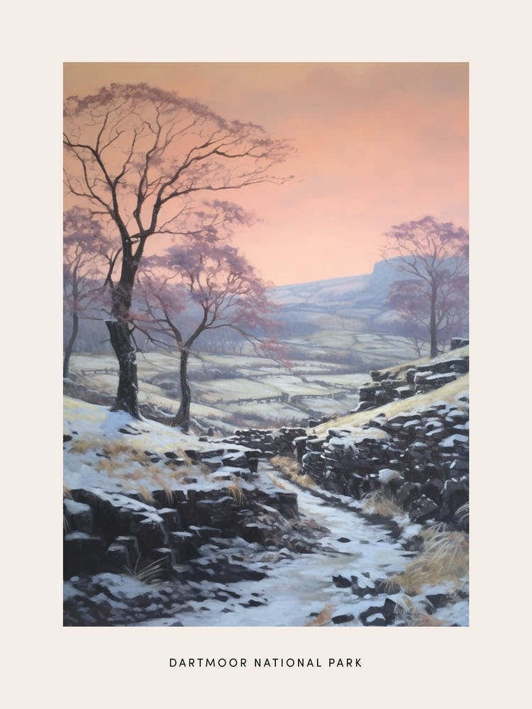 Dreamy Winter National Park Poster  Dartmoor National Park England 3