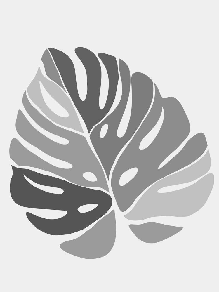 Monstera Leaf 9