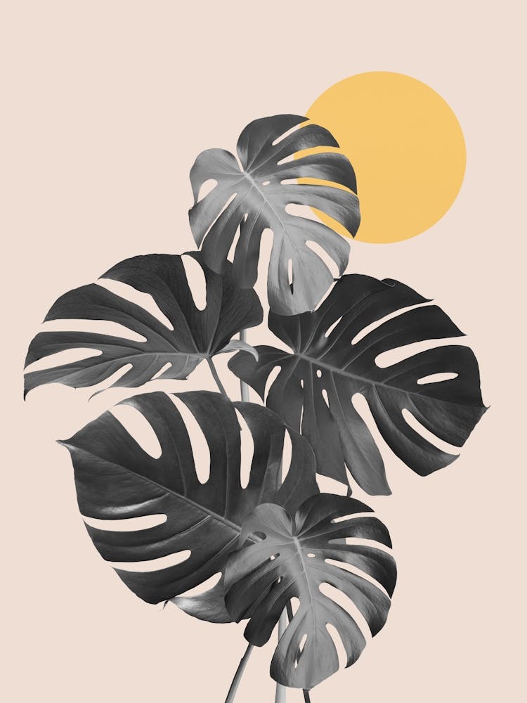 Floral collage 1